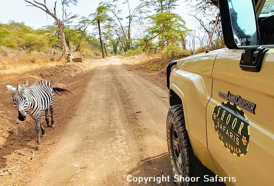 safari car rental tanzania